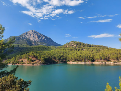 Doyran Pond Yerel İşletme fotoğrafı 1