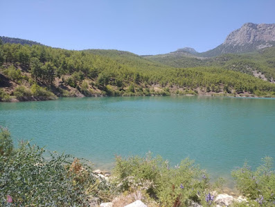 Doyran Pond Yerel İşletme fotoğrafı 5